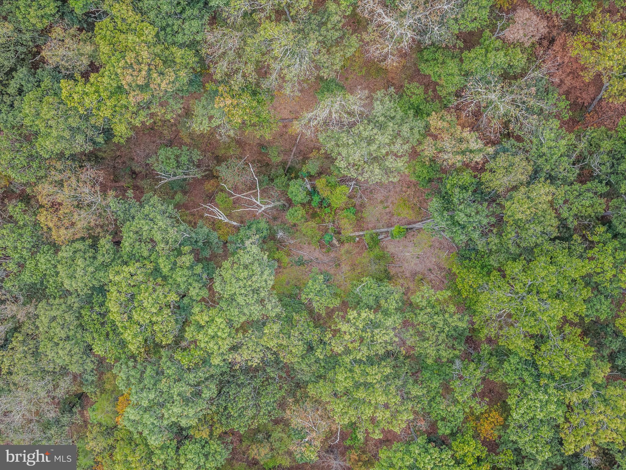 Cacapon Road Great Cacapon, WV 25422 - Photo 50 of 66 Lot Cacapon Rd-Great Cacapon