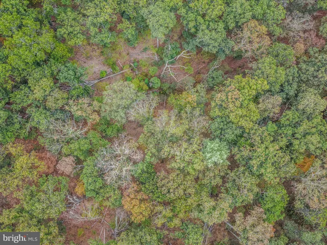 $268,500 | Cacapon Road, Great Cacapon, WV 25422