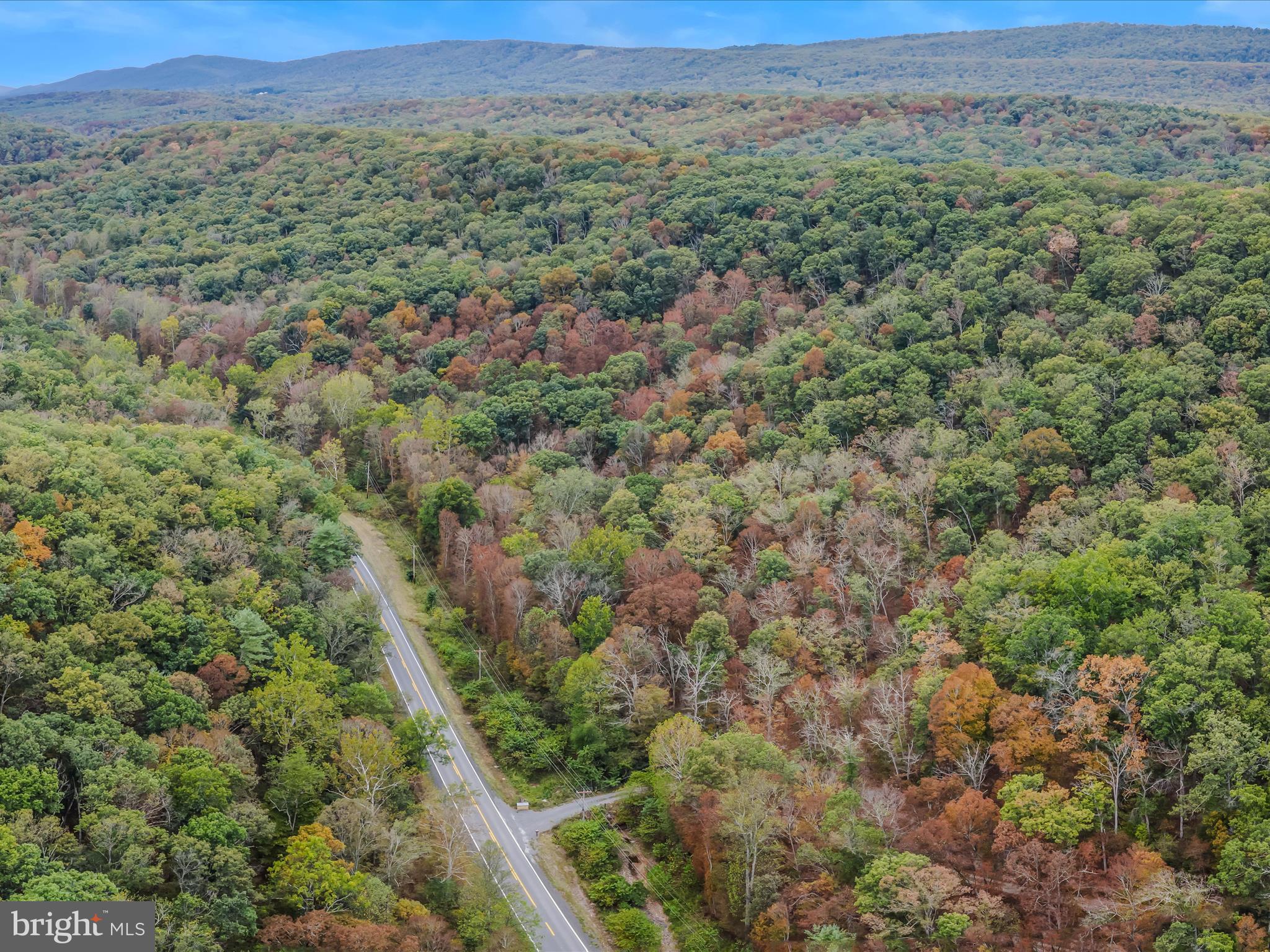 Cacapon Road Great Cacapon, WV 25422 - Photo 52 of 66 a view of a lush green forest with lush green forest