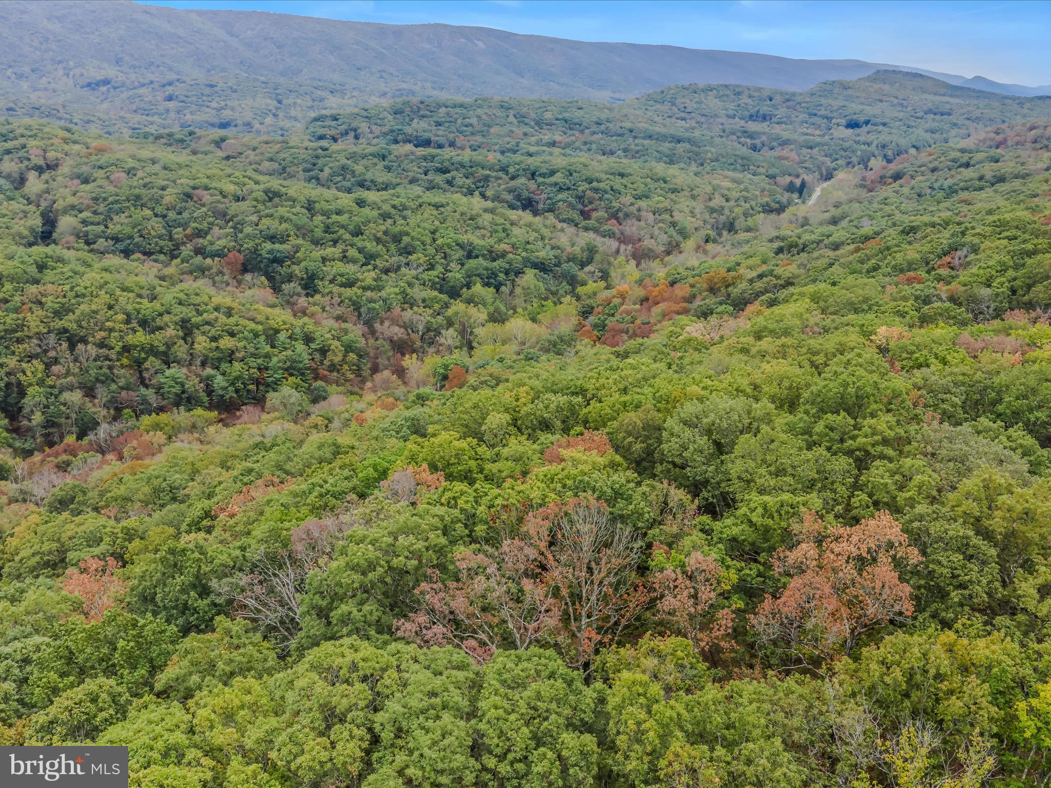 Cacapon Road Great Cacapon, WV 25422 - Photo 53 of 66 a view of a lush green forest with trees and some houses