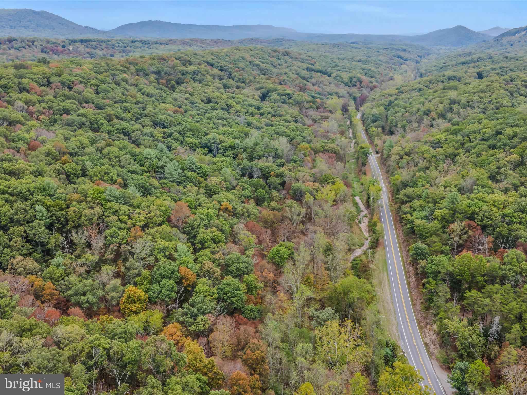 Cacapon Road Great Cacapon, WV 25422 - Photo 55 of 66 a view of a lush green field with lots of bushes