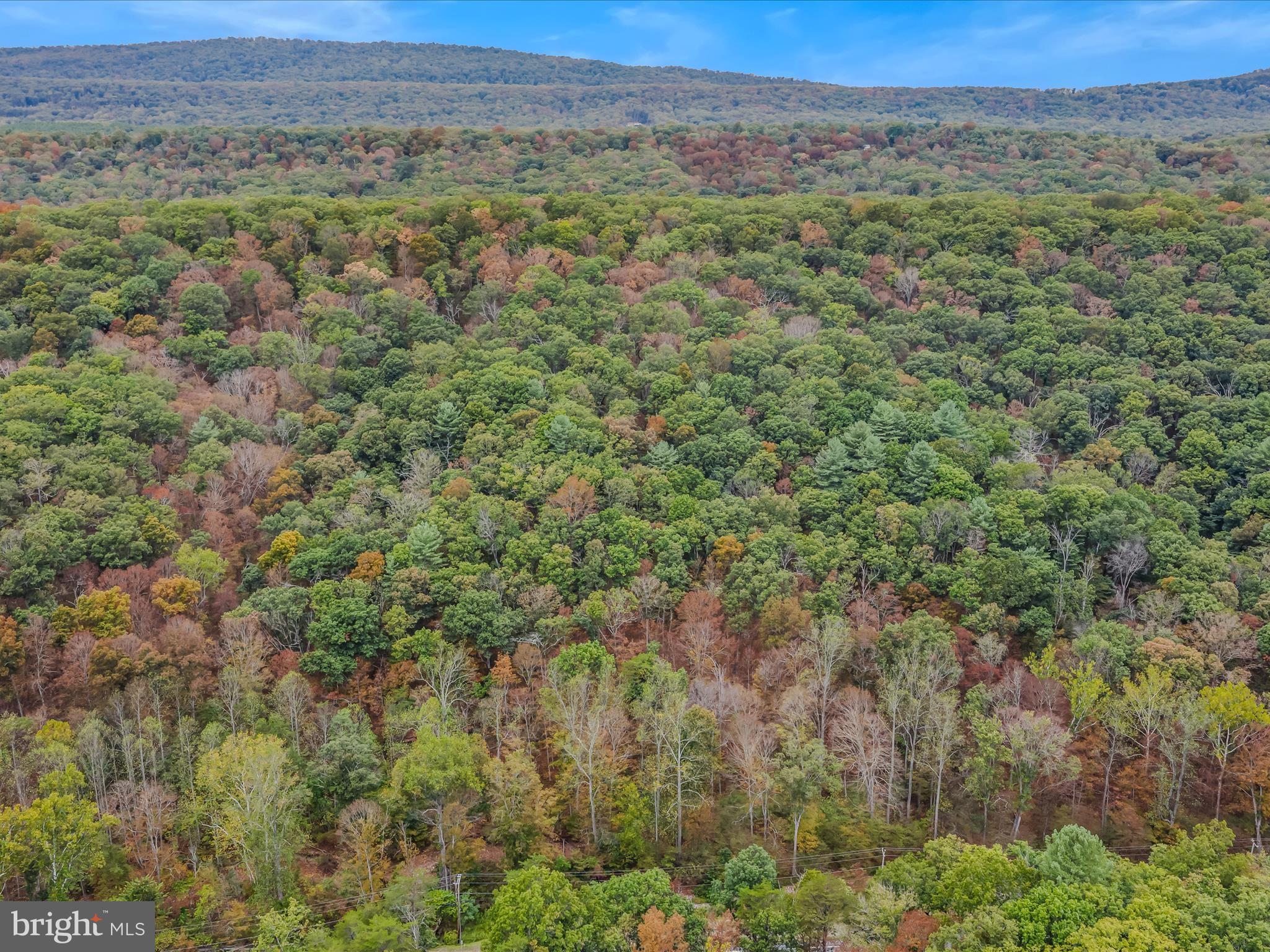 Cacapon Road Great Cacapon, WV 25422 - Photo 56 of 66 Lot Cacapon Rd-Great Cacapon