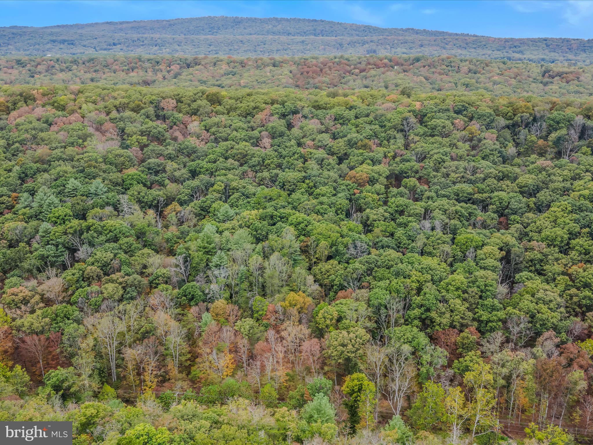 Cacapon Road Great Cacapon, WV 25422 - Photo 60 of 66 a view of a lush green field