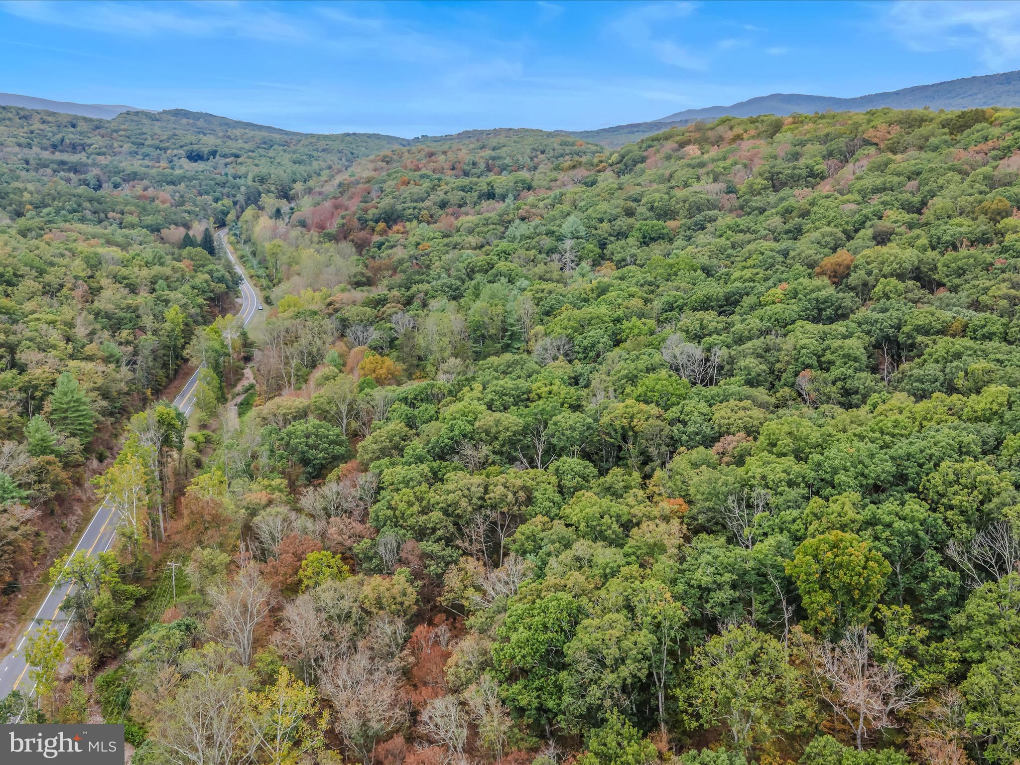 Cacapon Road Great Cacapon, WV 25422 - Photo 62 of 66 a view of a field with a mountain in the background