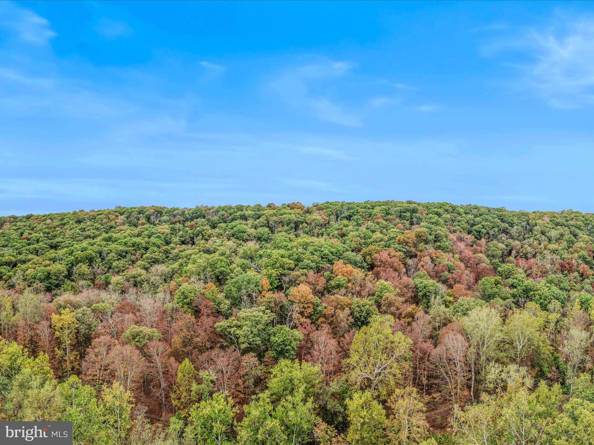 Cacapon Road Great Cacapon, WV 25422 - Photo 66 of 66 a view of a big yard with lots of bushes