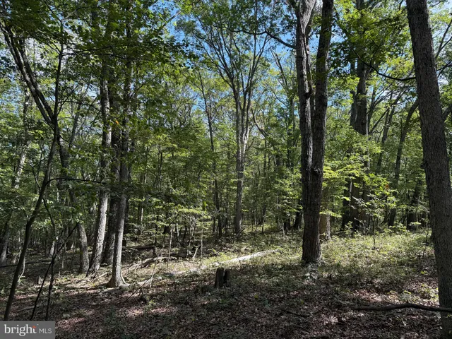 a view of outdoor space with lots of trees