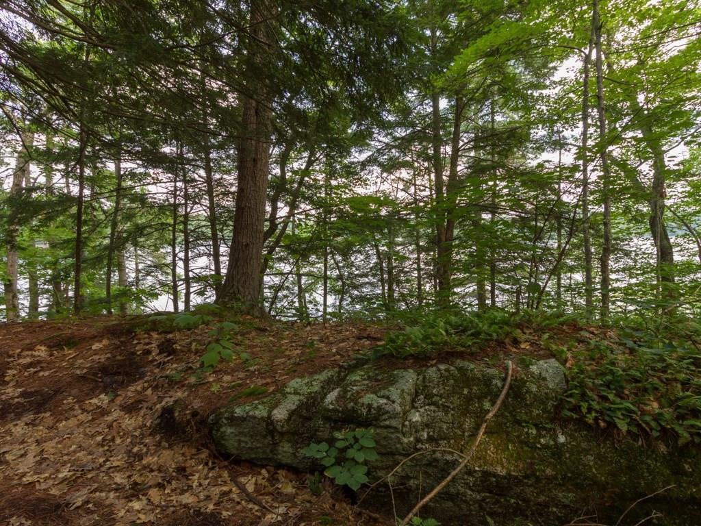 Lot 12 Gore Road Naples, ME 04055 - Photo 13 of 29 Photo