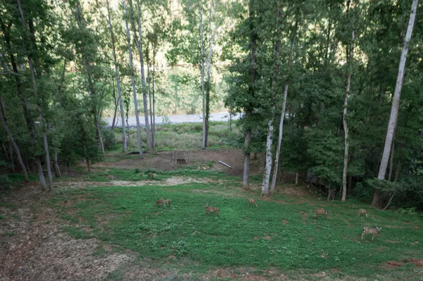 $799,000 | Lot 80 Lakeshore Terrace Road, Hardy, VA 24101