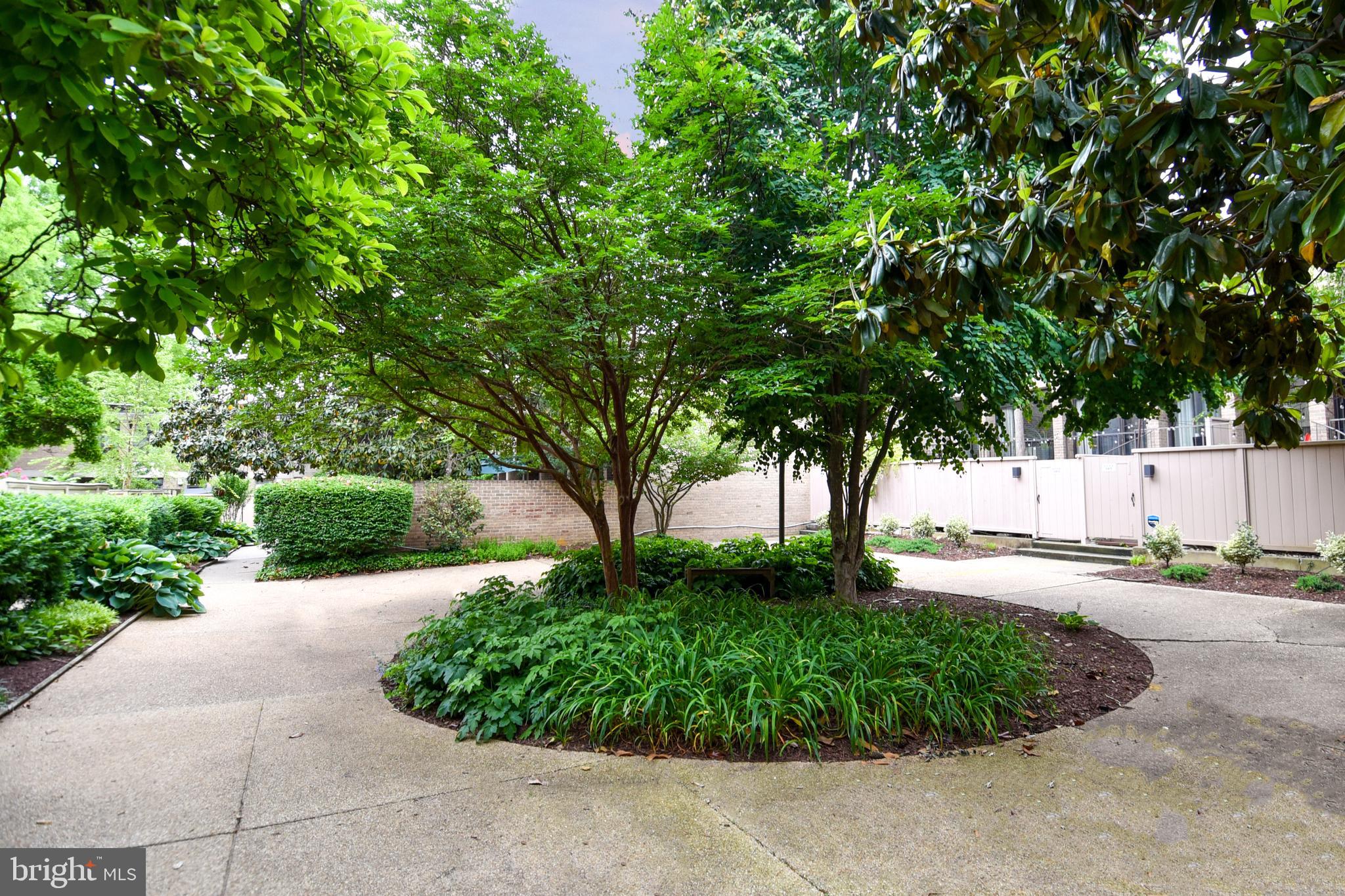 355 North N Street Southwest, Unit 355 Washington, DC 20024 - Photo 23 of 24