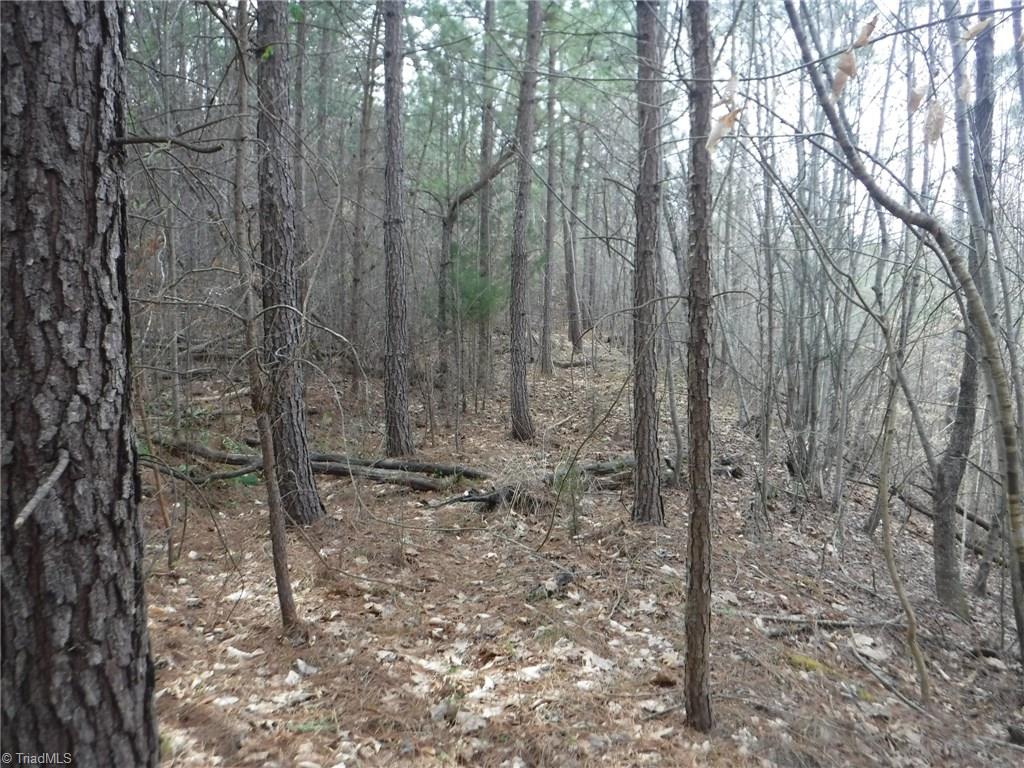 1100 King Road Pinnacle, NC 27043 - Photo 11 of 23 Gallery Image 11