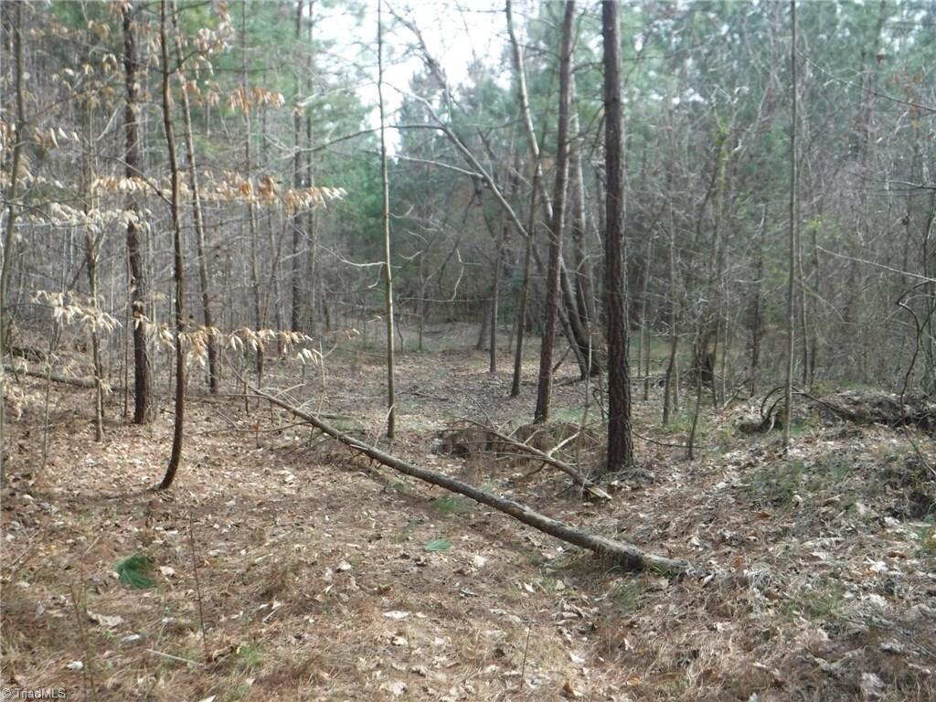 1100 King Road Pinnacle, NC 27043 - Photo 14 of 23 Gallery Image 14