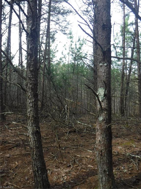 1100 King Road Pinnacle, NC 27043 - Photo 16 of 23 Gallery Image 16