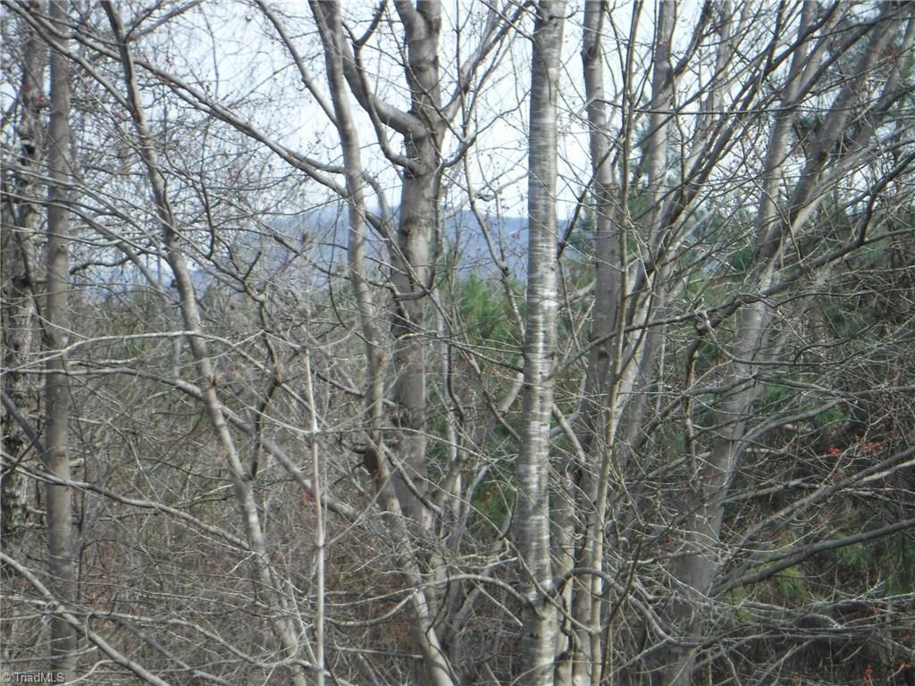 1100 King Road Pinnacle, NC 27043 - Photo 17 of 23 Gallery Image 17