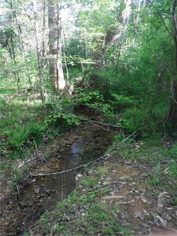 1100 King Road Pinnacle, NC 27043 - Photo 18 of 23 Gallery Image 18