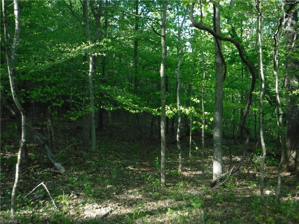1100 King Road Pinnacle, NC 27043 - Photo 20 of 23 Gallery Image 20