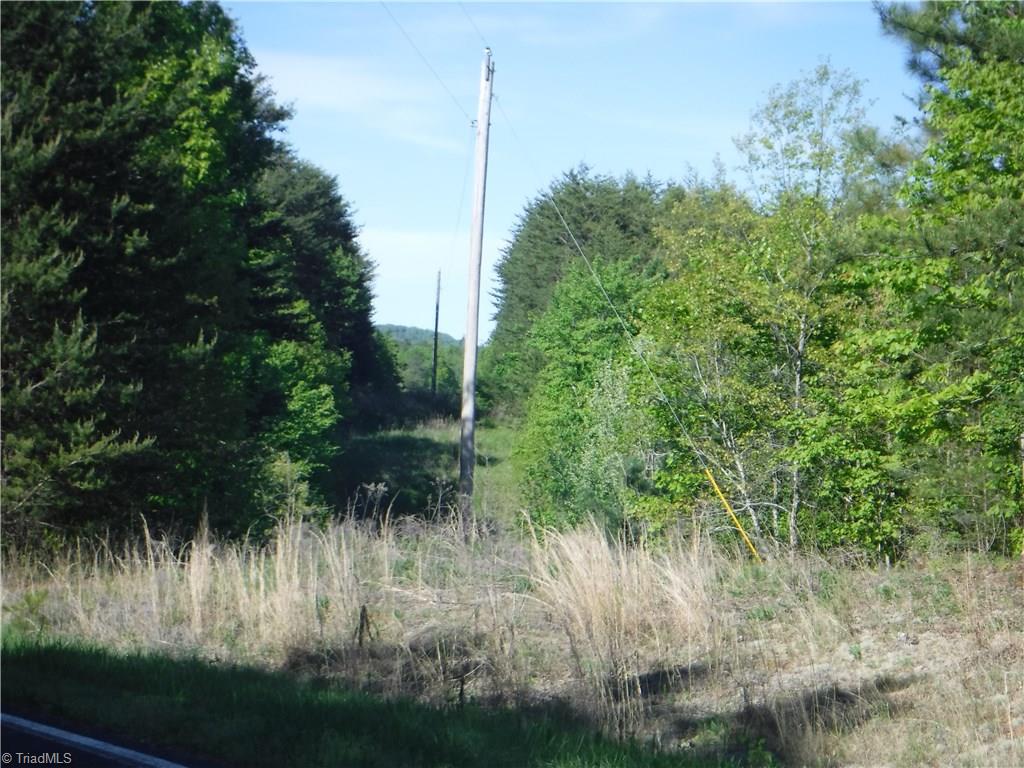 1100 King Road Pinnacle, NC 27043 - Photo 21 of 23 Gallery Image 21