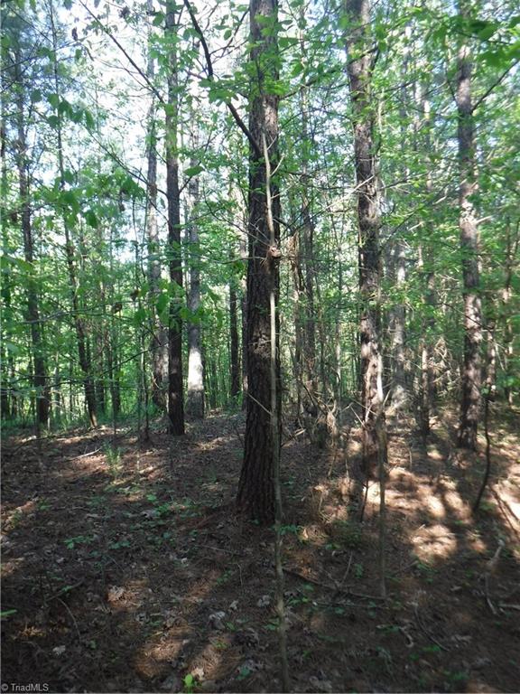1100 King Road Pinnacle, NC 27043 - Photo 22 of 23 Gallery Image 22