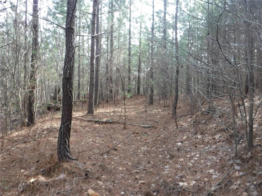 1100 King Road Pinnacle, NC 27043 - Photo 4 of 23 Gallery Image 4