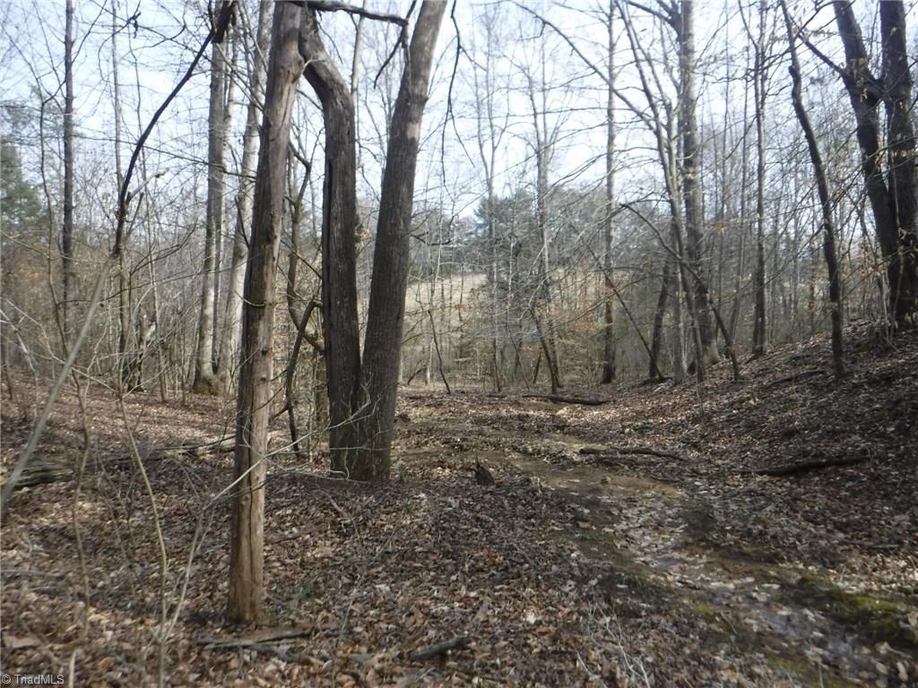 1100 King Road Pinnacle, NC 27043 - Photo 5 of 23 Gallery Image 5
