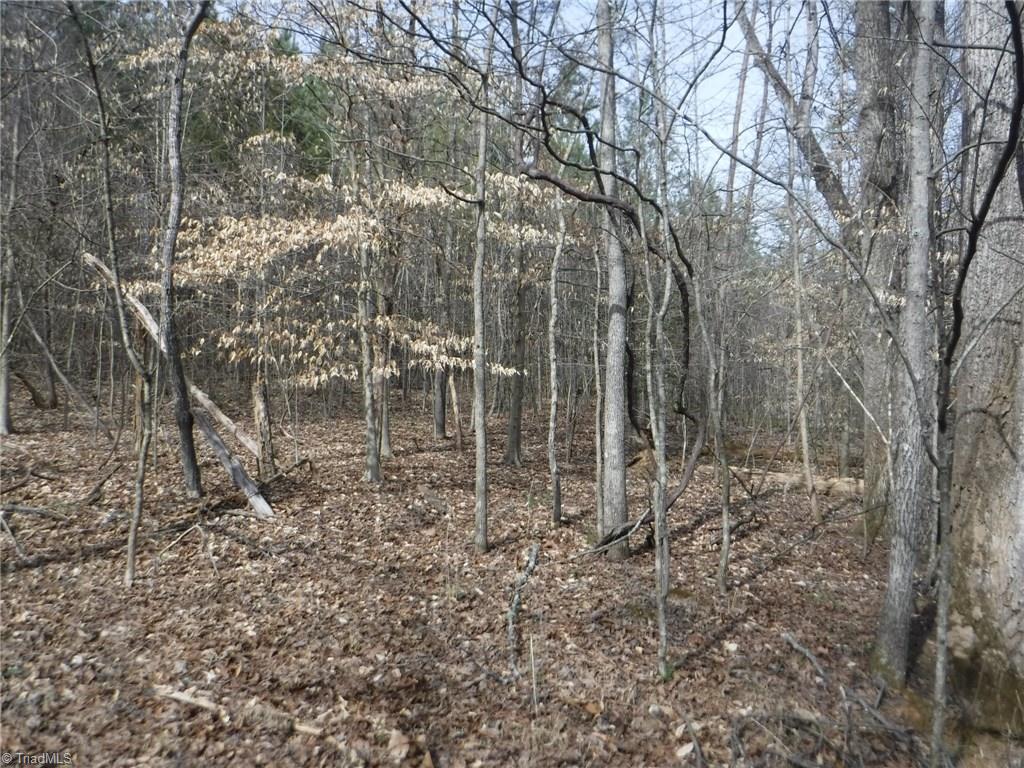 1100 King Road Pinnacle, NC 27043 - Photo 9 of 23 Gallery Image 9