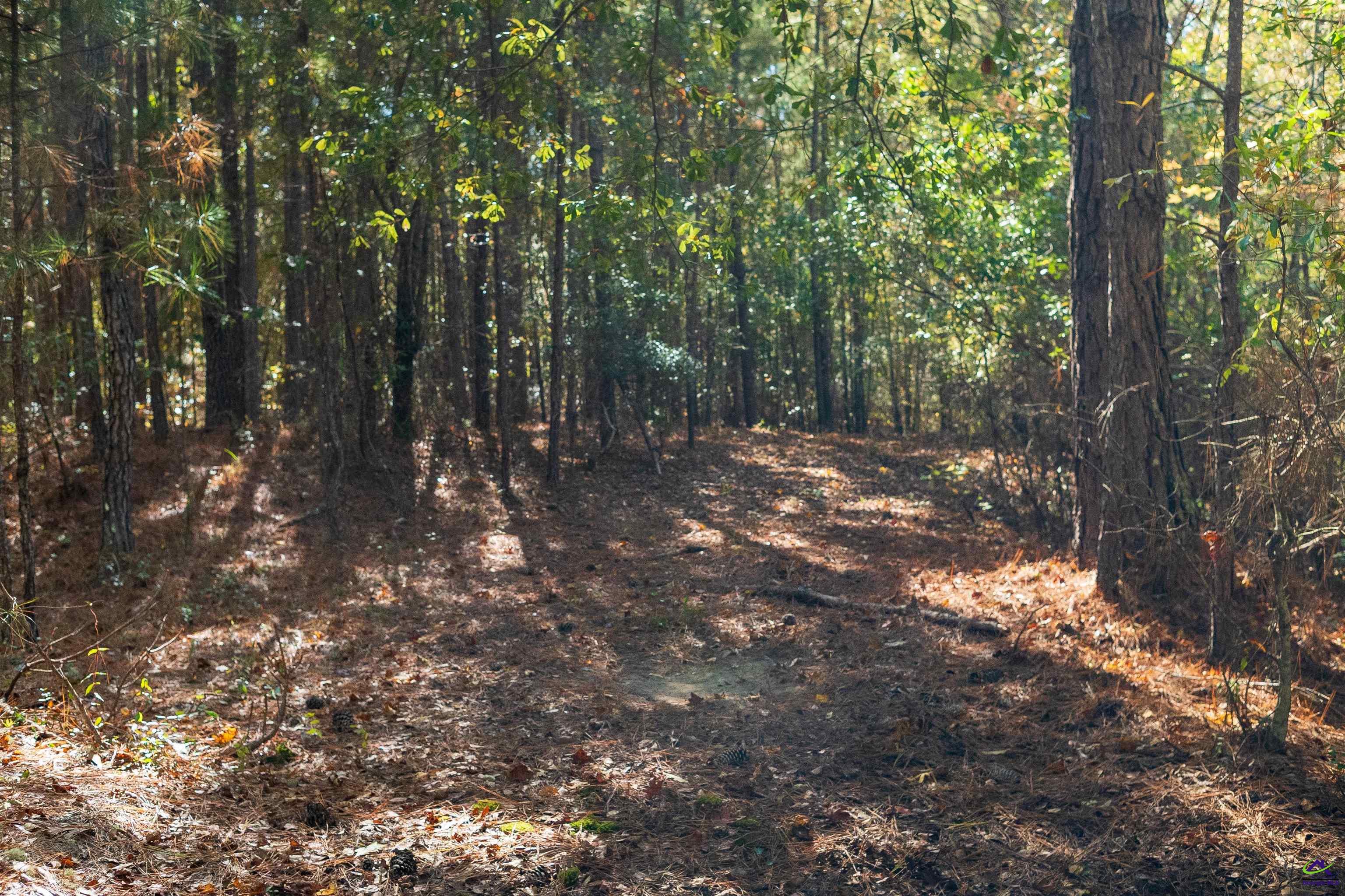 1446 Avera Road Roberta, GA 31078 - Photo 32 of 33