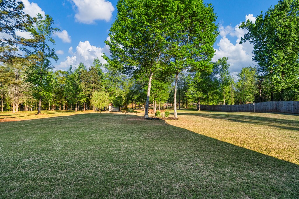 153 Abberly Lane Ellerslie, GA 31807 - Photo 37 of 63