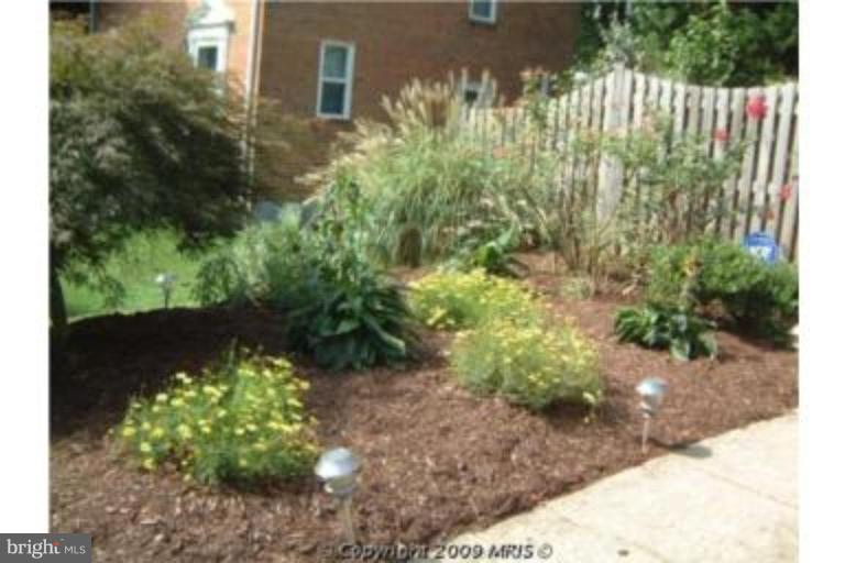 313 Marvin Road Silver Spring, MD 20901 - Photo 20 of 20 Beautiful flowers & plantings!