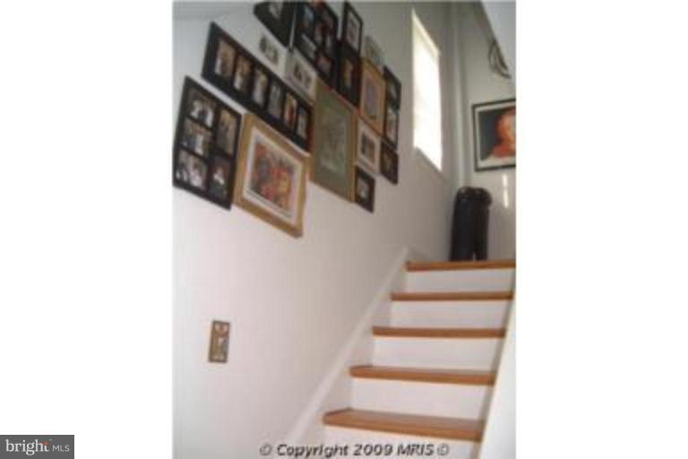 313 Marvin Road Silver Spring, MD 20901 - Photo 10 of 20 Double set of windows in staircase to upper level.