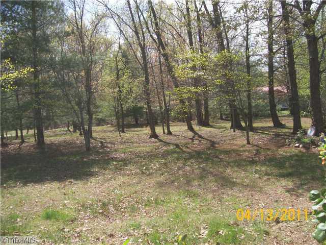 850 Doe Run Road Ararat, VA 24053 - Photo 16 of 16 Yard/Garden.
