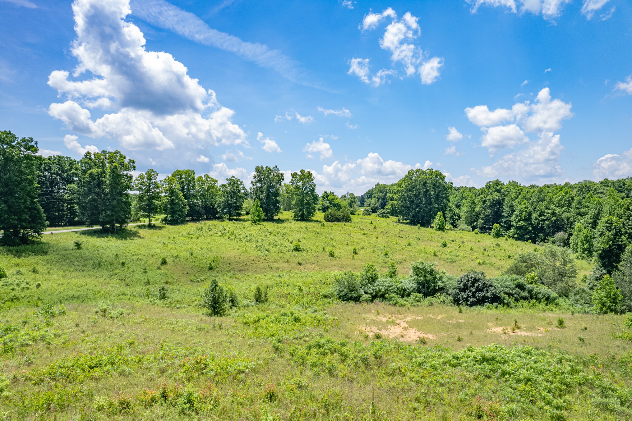 0 Mobley Ridge Road Duck River, TN 38454 - Photo 15 of 35 a view of a big yard with large trees
