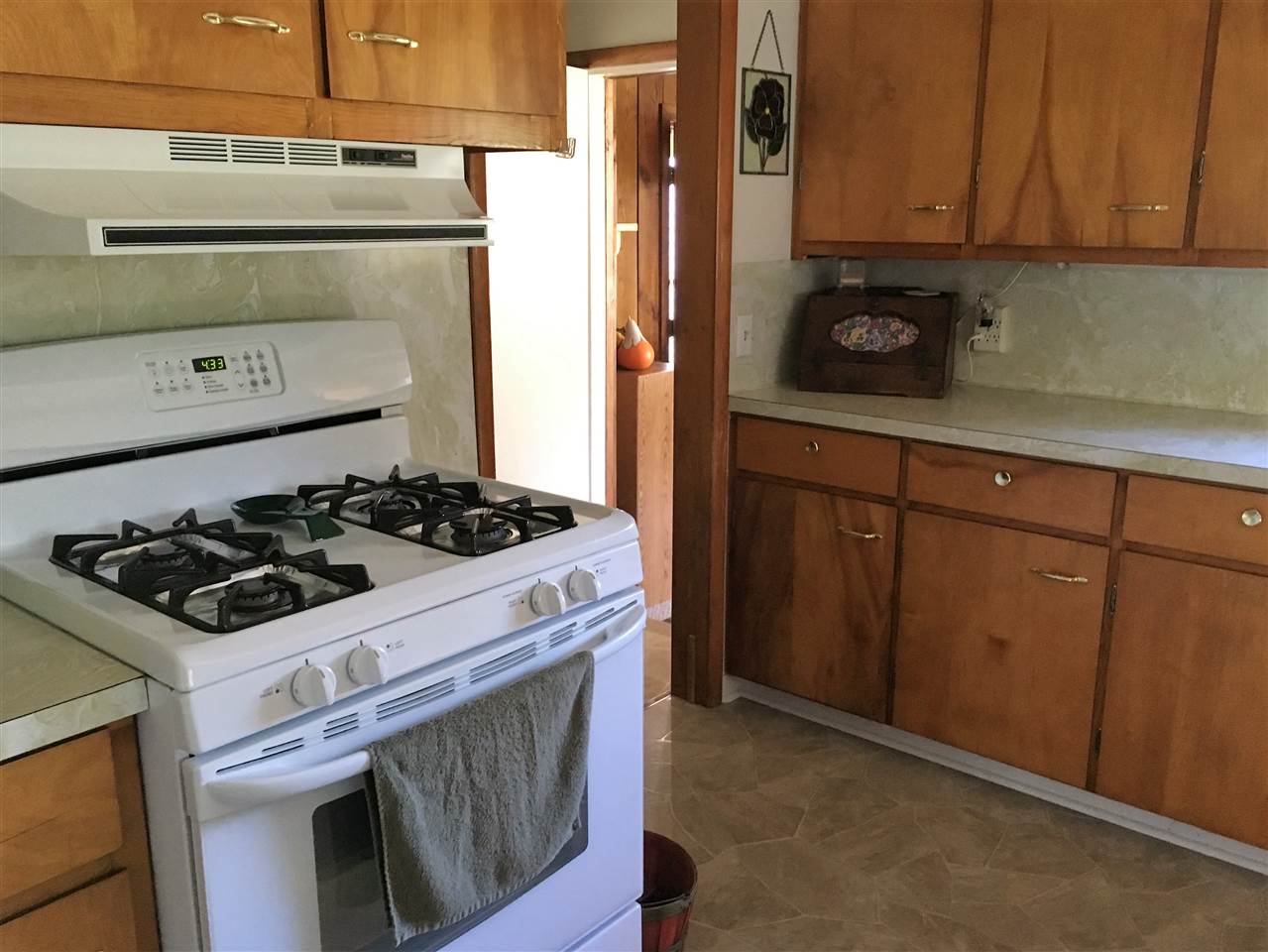 18134 19 Mile Road Tustin, MI 49688 - Photo 8 of 56 1822719-7.JPG