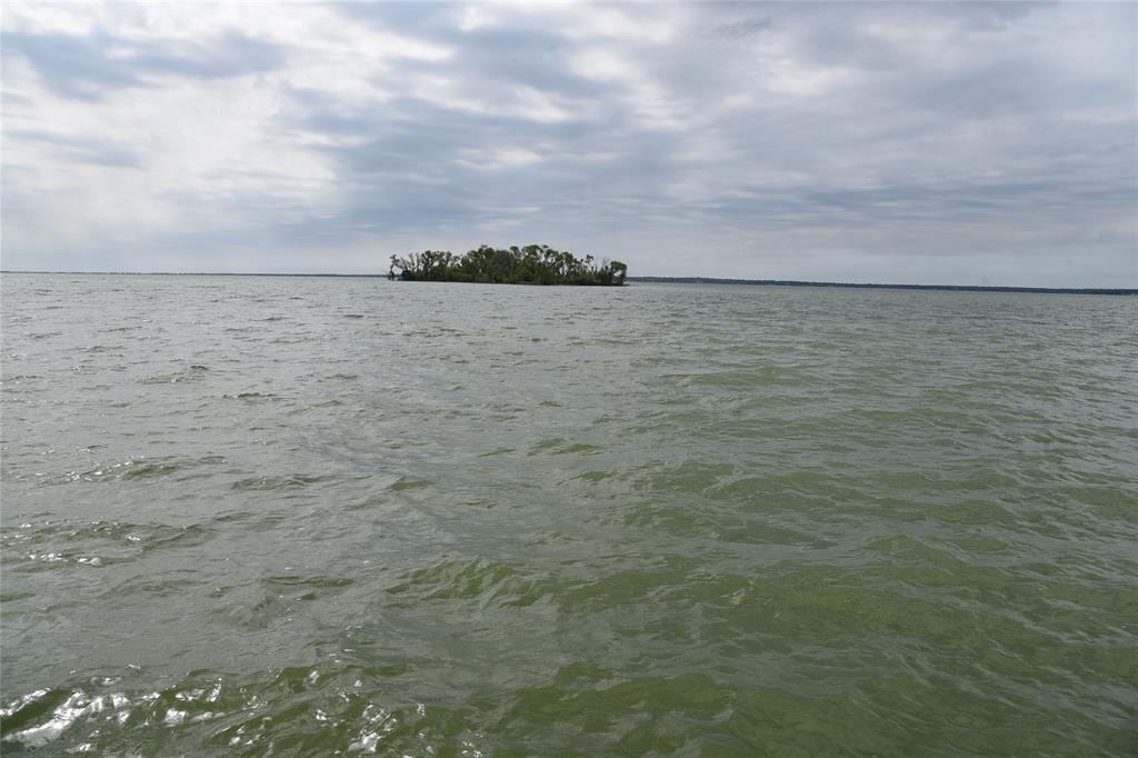 6465 Peninsula Road Kerens, TX 75144 - Photo 31 of 34 a view of a lake view