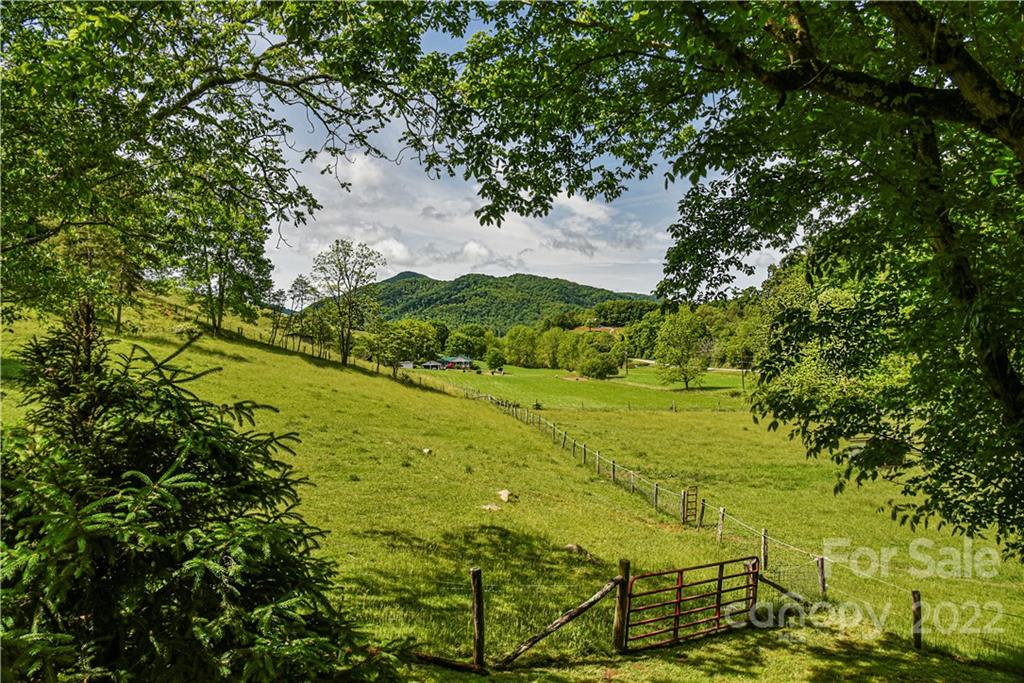 157 Poverty Branch Road Barnardsville, NC 28709 - Photo 38 of 48 a view of an outdoor space and a yard