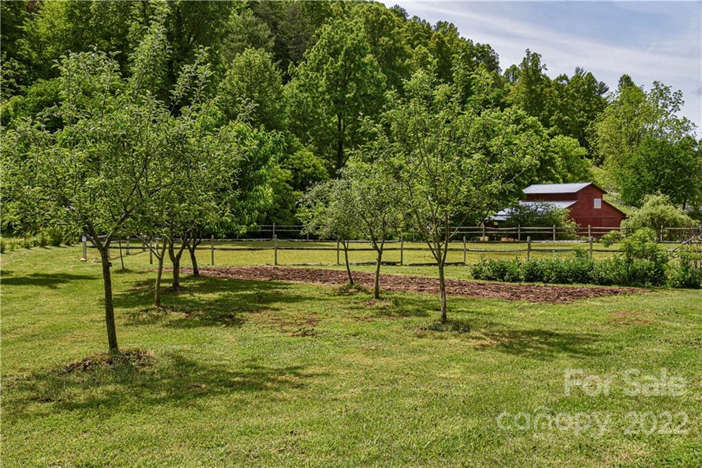 157 Poverty Branch Road Barnardsville, NC 28709 - Photo 46 of 48