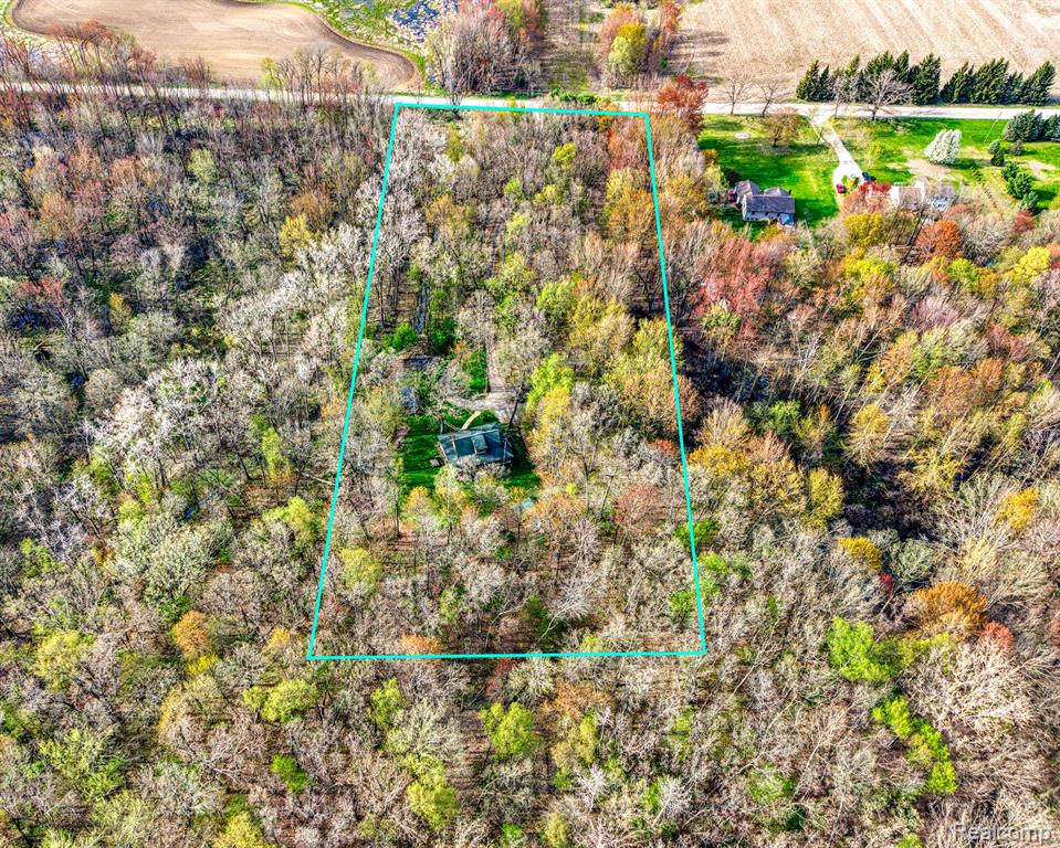 7989 Lovejoy Road Byron, MI 48418 - Photo 37 of 42