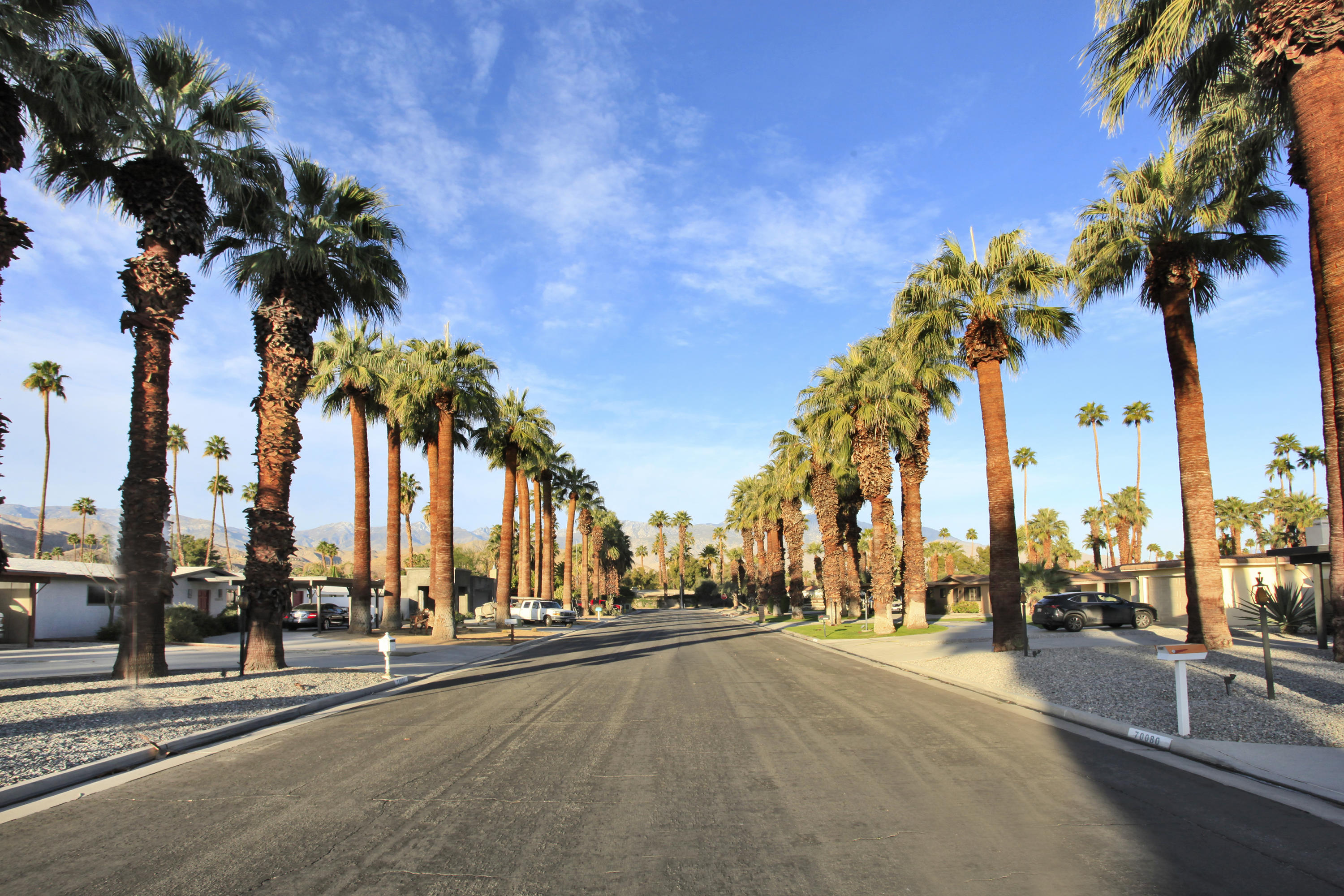 70090 Chappel Road Rancho Mirage, CA 92270 - Photo 11 of 26 a view of road with palm trees