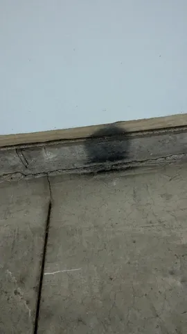 $649,900 | 7909 11 Mile Road, Bear Lake, MI 49614