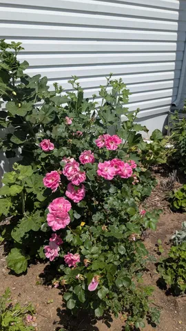 $649,900 | 7909 11 Mile Road, Bear Lake, MI 49614