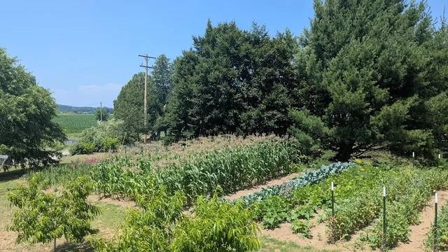 $649,900 | 7909 11 Mile Road, Bear Lake, MI 49614