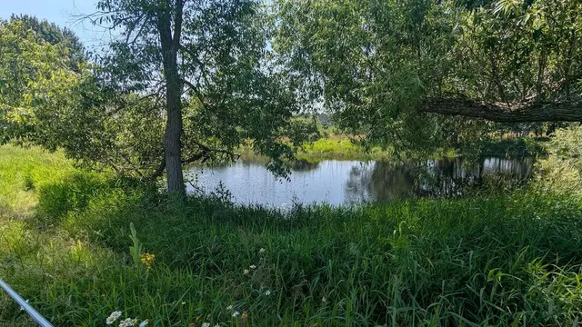 $649,900 | 7909 11 Mile Road, Bear Lake, MI 49614