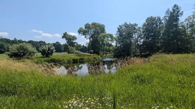 $649,900 | 7909 11 Mile Road, Bear Lake, MI 49614