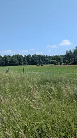 $649,900 | 7909 11 Mile Road, Bear Lake, MI 49614