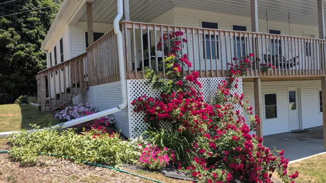 $649,900 | 7909 11 Mile Road, Bear Lake, MI 49614