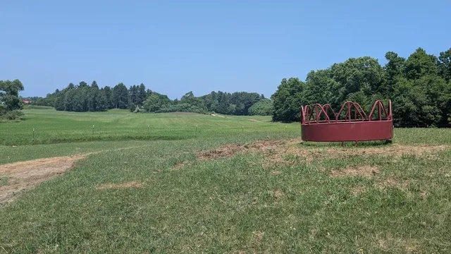 $649,900 | 7909 11 Mile Road, Bear Lake, MI 49614