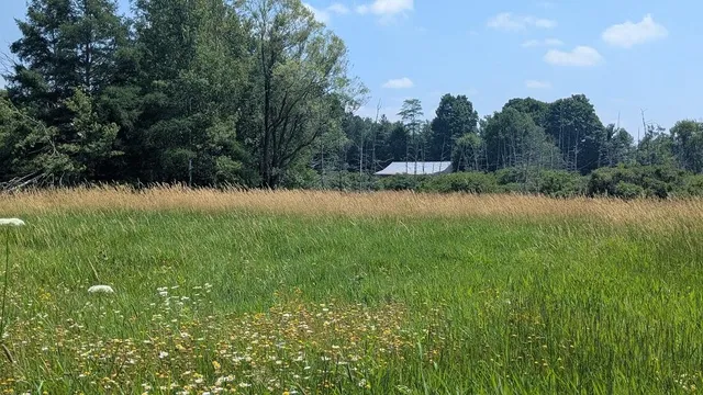 $649,900 | 7909 11 Mile Road, Bear Lake, MI 49614