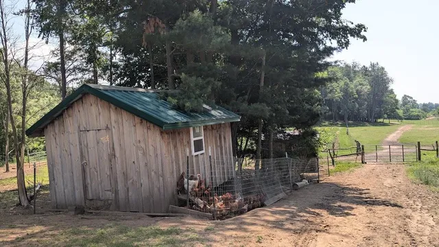 $649,900 | 7909 11 Mile Road, Bear Lake, MI 49614