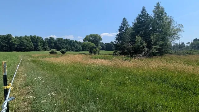 $649,900 | 7909 11 Mile Road, Bear Lake, MI 49614