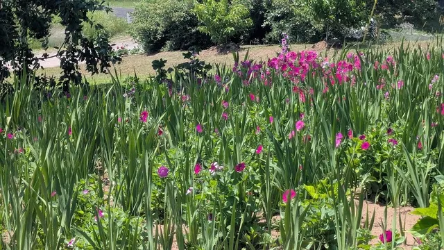 $649,900 | 7909 11 Mile Road, Bear Lake, MI 49614