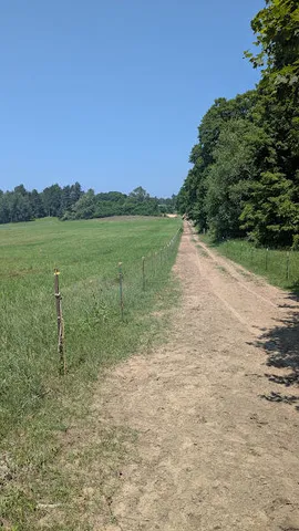 $649,900 | 7909 11 Mile Road, Bear Lake, MI 49614