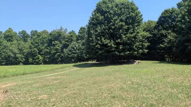 $649,900 | 7909 11 Mile Road, Bear Lake, MI 49614